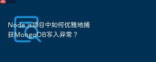 node.js项目中如何优雅地捕获mongodb写入异常?