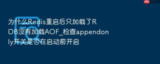 为什么redis重启后只加载了rdb没有加载aof_检查appendonly开关是否在启动前开启