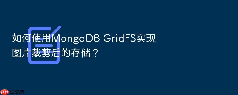 如何使用mongodb gridfs实现图片裁剪后的存储?