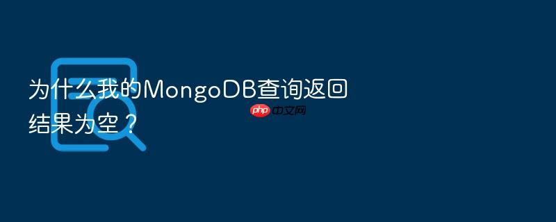 为什么我的mongodb查询返回结果为空?