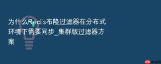为什么Redis布隆过滤器在分布式环境下需要同步_集群版过滤器方案