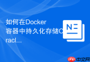 如何在Docker容器中持久化存储Oracle数据库的数据文件？