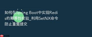 如何在spring boot中实现redis的幂等性校验_利用setnx命令防止重复提交