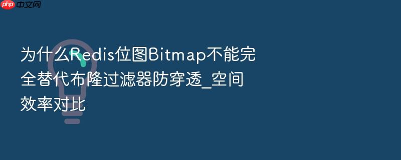 为什么redis位图bitmap不能完全替代布隆过滤器防穿透_空间效率对比