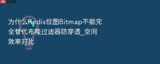 为什么redis位图bitmap不能完全替代布隆过滤器防穿透_空间效率对比