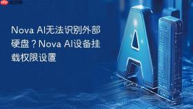 nova ai无法识别外部硬盘?nova ai设备挂载权限设置