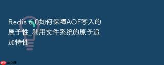 redis 6.0如何保障aof写入的原子性_利用文件系统的原子追加特性