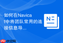 如何在Navicat中将团队常用的连接信息导出为安全格式？