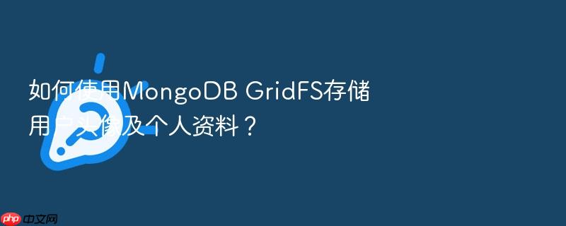 如何使用mongodb gridfs存储用户头像及个人资料?