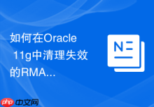 如何在Oracle 11g中清理失效的RMAN备份记录和文件？
