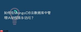 如何在mongodb云数据库中管理iam权限与访问?