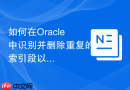 如何在Oracle中识别并删除重复的索引段以释放空间？