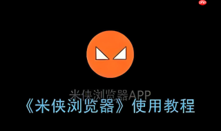 米侠浏览器如何解决与部分杀毒软件冲突导致的崩溃？