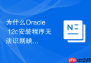 为什么Oracle 12c安装程序无法识别映射的网络驱动器？