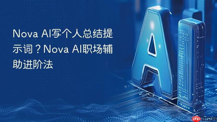 nova ai写个人总结提示词?nova ai职场辅助进阶法
