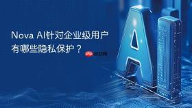 nova ai针对企业级用户有哪些隐私保护?