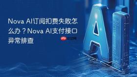 nova ai订阅扣费失败怎么办?nova ai支付接口异常排查