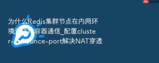 为什么Redis集群节点在内网环境无法跨容器通信_配置cluster-announce-port解决NAT穿透