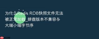 为什么redis rdb快照文件无法被正常加载_排查版本不兼容与大端小端字节序