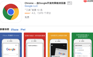 谷歌浏览器无法打开特定的.gov或银行内网网站该如何设置?