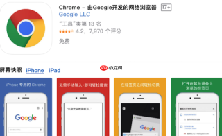 谷歌浏览器无法打开特定的.gov或银行内网网站该如何设置？