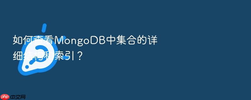如何查看mongodb中集合的详细结构和索引?