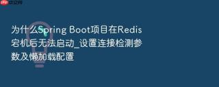 为什么spring boot项目在redis宕机后无法启动_设置连接检测参数及懒加载配置