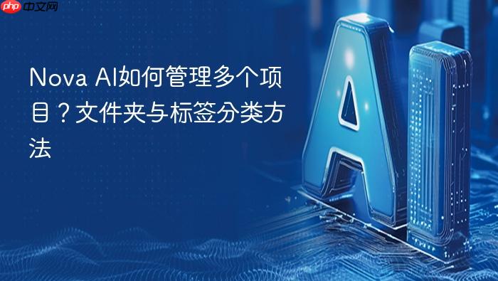 nova ai如何管理多个项目?文件夹与标签分类方法