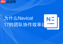 为什么Navicat 17的团队协作效率比Navicat 16大幅提升？