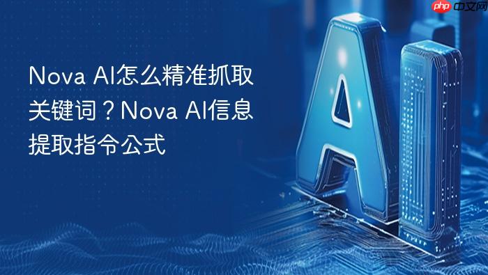 nova ai怎么精准抓取关键词?nova ai信息提取指令公式