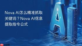 Nova AI怎么精准抓取关键词？Nova AI信息提取指令公式