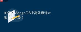 如何在mongodb中高效查询大型文本字段？