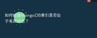 如何检查mongodb索引是否处于有效状态?