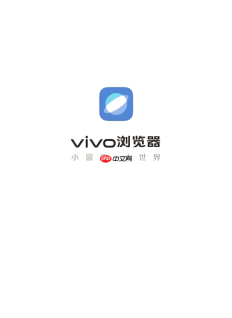 vivo浏览器地址栏输入网址总是跳转到搜索结果页该怎么办?