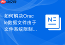 如何解决Oracle数据文件由于文件系统限制无法增加大小的问题？