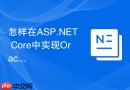 怎样在ASP.NET Core中实现Oracle数据库的断线重连机制？