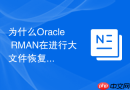 为什么Oracle RMAN在进行大文件恢复时速度非常缓慢？