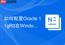如何配置Oracle 11gR2在Windows Server 2019上的兼容性模式？