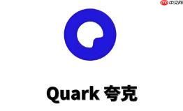 夸克浏览器夜间模式颜色异常怎么修复?