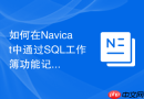 如何在Navicat中通过SQL工作簿功能记录团队解决问题的过程？