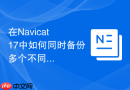 在Navicat 17中如何同时备份多个不同连接的数据库？