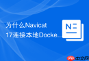 为什么Navicat 17连接本地Docker镜像中的PostgreSQL很慢？
