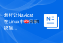 怎样让Navicat在Linux中使用系统输入法
