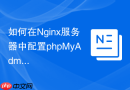 如何在Nginx服务器中配置phpMyAdmin访问路径？