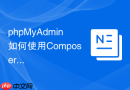 phpMyAdmin如何使用Composer审计依赖安全