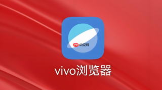 vivo浏览器如何保存网站账号密码