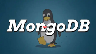 如何使用Motor异步查询MongoDB？