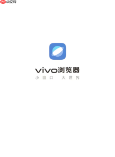 vivo浏览器如何拦截恶意网站