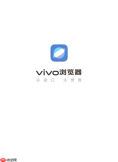 vivo浏览器如何拦截恶意网站