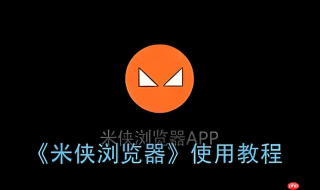 米侠浏览器历史记录消失怎么办